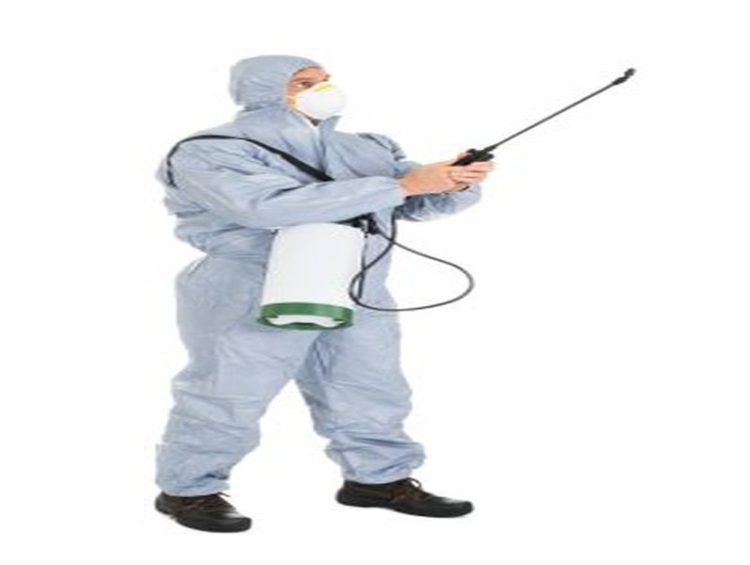 Pest Control Sydney: How to Prevent Pest Infestations in Commercial Buildings