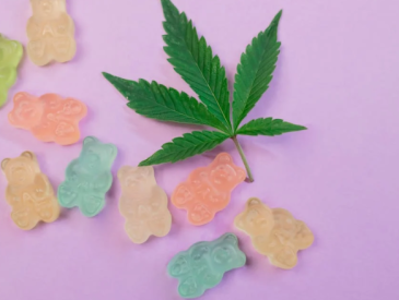 From Sweet to Soothing The CBD Gummies Revolution